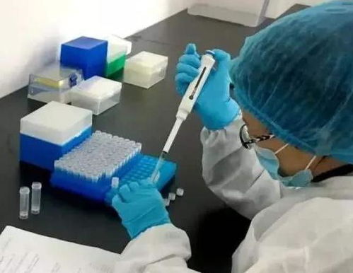 直面争议，中国检测试剂盒的质量真相足以令西方沉默